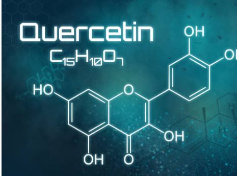 Unveiling-the-Power-of-Quercetin-Nature-s-Basket-s-Secret-to-Holistic-Wellbeing Nature's Basket - NZ