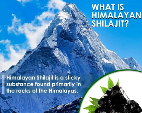 The Benefits of Shilajit Resin - Nature's Basket - NZ
