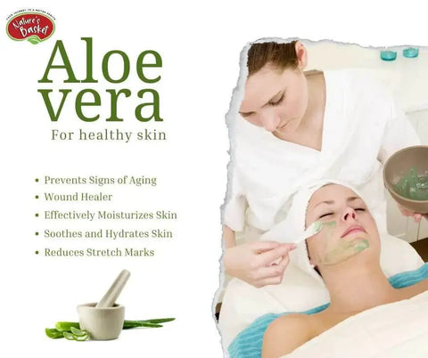 How to Use Pure Aloe Vera Gel for Skincare in NZ Nature's Basket - NZ