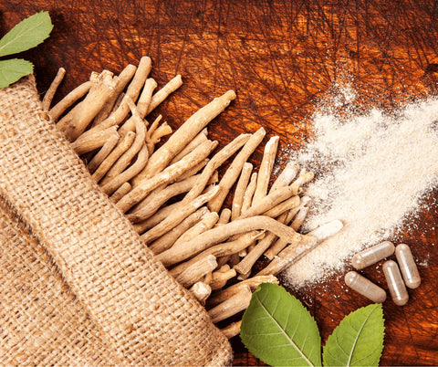 Benefits of Ashwagandha - Nature's Basket - NZ