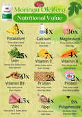 Nature's Basket NZ Organic Moringa Leaf Powder NZ 227g - Nature's Basket - NZ