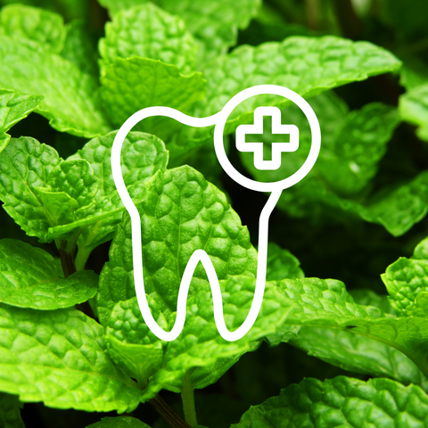 Dental health