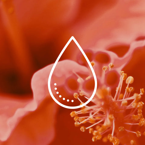 Blood & Circulation