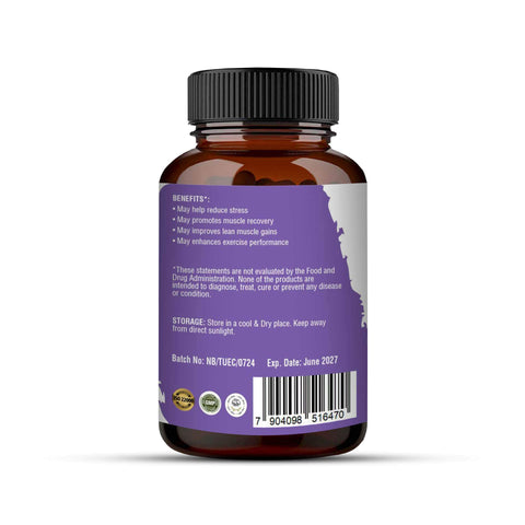 Nature's Basket NZ Turkesterone Extract - 90 Capsules - Nature's Basket - NZ