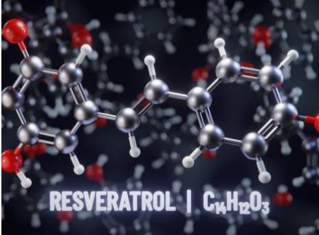 Unveiling the Power of Resveratrol: Nature's Basket's Key to Enhanced Wellbeing