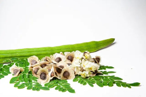 How Moringa Can Benefit Your Vegetarian Diet in NZ: A Comprehensive Guide Nature's Basket - NZ