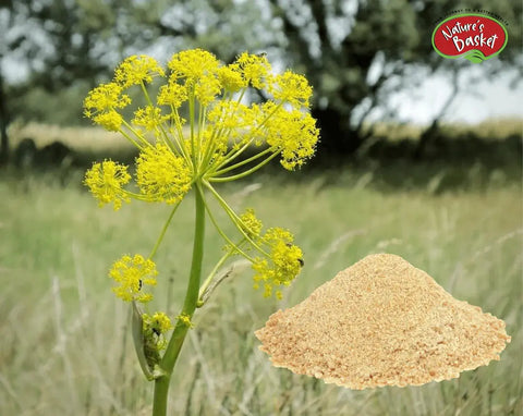 Asafoetida in New Zealand: A Guide to This Unique Spice Nature's Basket - NZ
