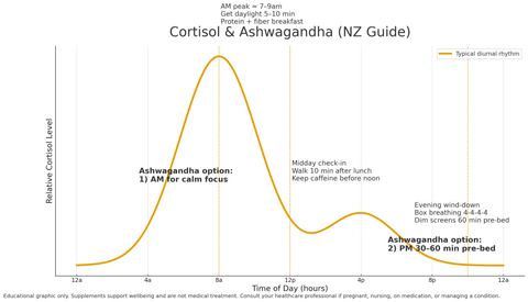 Cortisol & Ashwagandha NZ Guide — diurnal cortisol curve with AM peak and PM wind-down tips.
