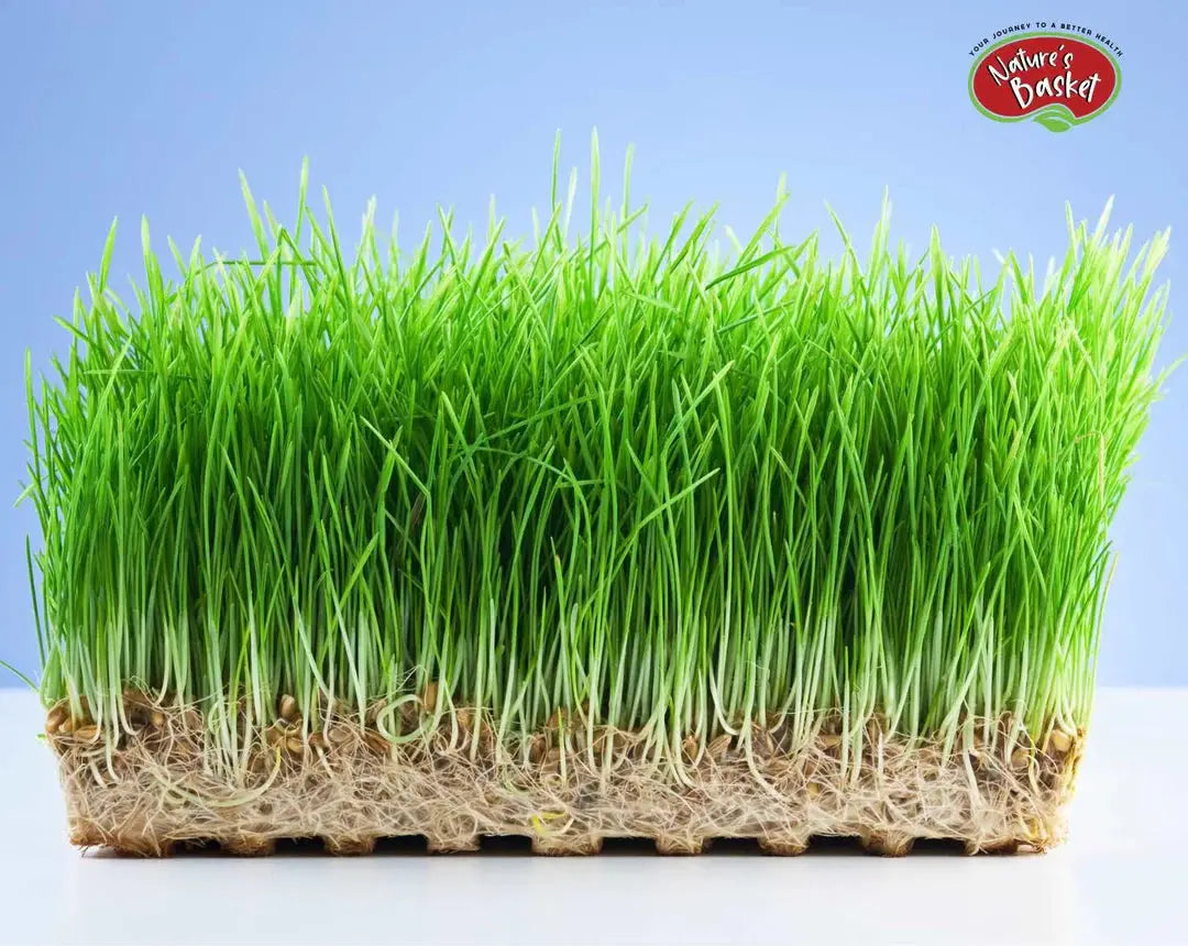 10 Delicious Ways to Incorporate Wheatgrass into Your – Nature's Basket ...